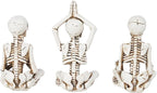 Newman House Studio Halloween Skeleton Decor - Realistic Meditating Skeleton Statues, Set of 3, 2*1.5*3.75 in Resin Indoor Zen Skull Decor