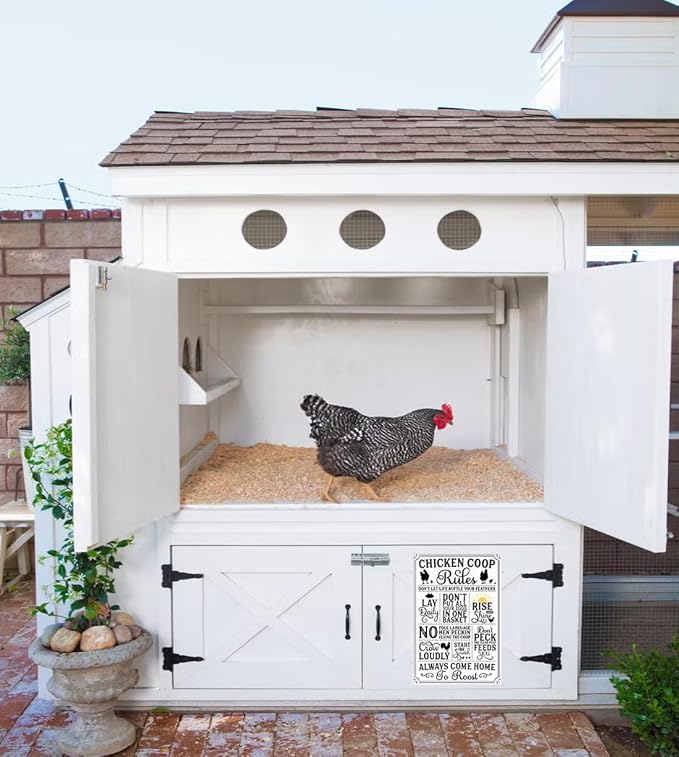 Funny Chicken Gifts Chicken Coop Rules Tin Sign for Home Farm Chicken Coop Farmhouse Kitchen Garden Decor 8 X 12 Inch (‌3720)