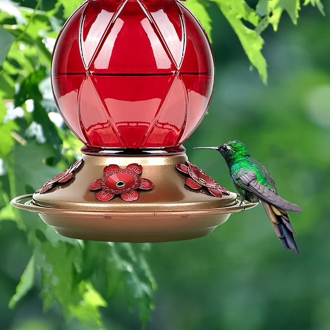 BOLITE Hummingbird Feeder, Glass Hummingbird Feeder for Outdoors, Meshy Texture Ball Shape Bottle, 20 Ounces, Red, Birthday Gifts for Women Men, Gifts for Mom Dad