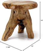 WELLAND Natural Cedar Stump Stool, 14" End Table, Live Edge Side Table, Plant Stand, Small Nightstand, Mushroom Stool for Living Room, Bedroom, Patio, Garden
