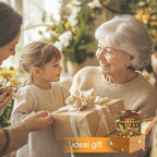 Hummingbird Lantern Solar Outdoor, Birthday Gifts for Women, Mom, Grandma Solar Light Outdoor Waterproof LED Decorative Garden for Lawn, Landscape, Patio, Porch Hanging Lantern for Christmas Decor