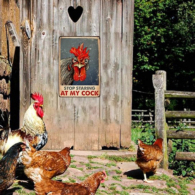 Funny Chicken Stop Staring My Cock Tin Sign for Farm Chicken Coop Farmhouse Kitchen Vintage Wall Decor 8x12 Inch (3058)