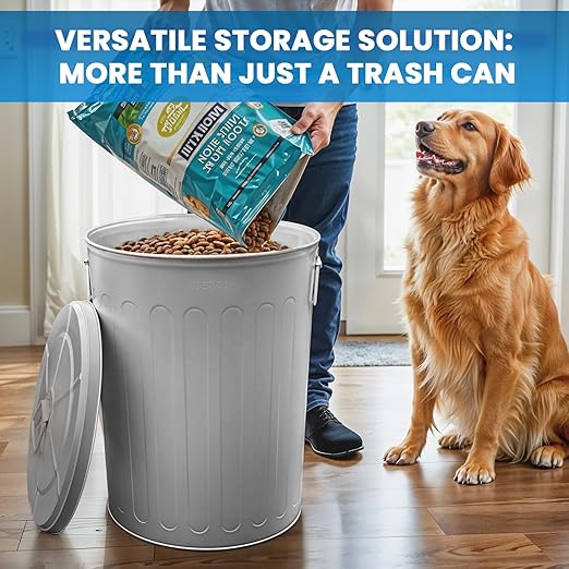 Plexon Large Metal Trash Can with Lid 20 Gallon, Decorative Outdoor Trash Can Heavy Duty Galvanized Metal Bucket with Lid for Garage Workshop Ash Storage Farmhouse, Gray 2 Pack