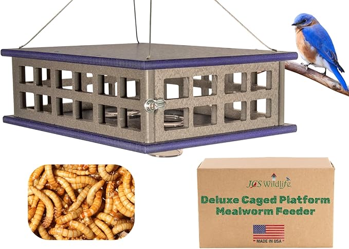 JCs Wildlife Recyled Poly Lumber Deluxe Double Caged Platform Bluebird Feeder (Gray/Blue)