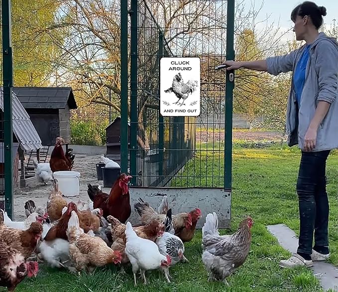 Funny Chicken Gifts Chicken Tin Sign for Home Farm Chicken Coop Farmhouse Kicthen Garden Decor 8 X 12 Inch (3220)