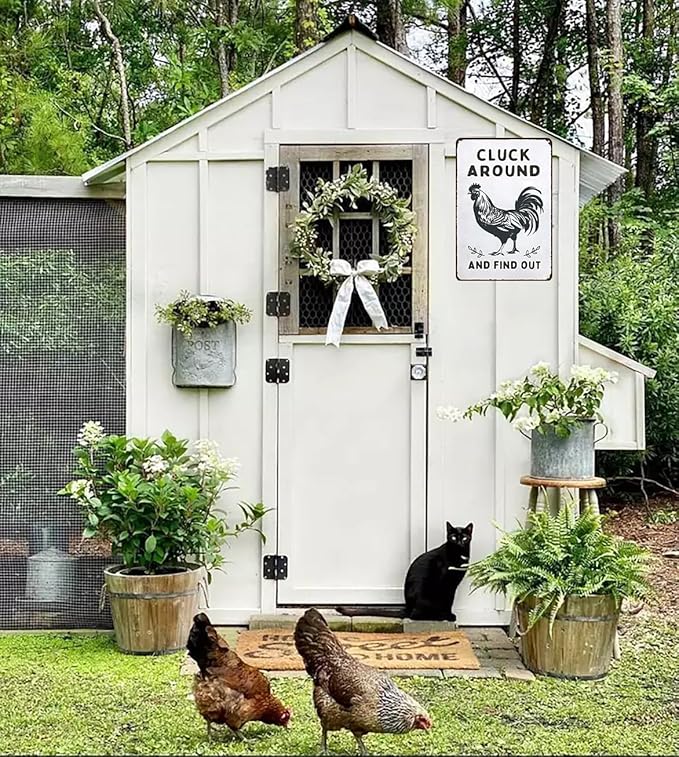 Funny Chicken Gifts Chicken Cluck Around and Find Out Tin Sign for Home Farm Chicken Coop Farmhouse Kitchen Garden Decor 8 X 12 Inch (3020)