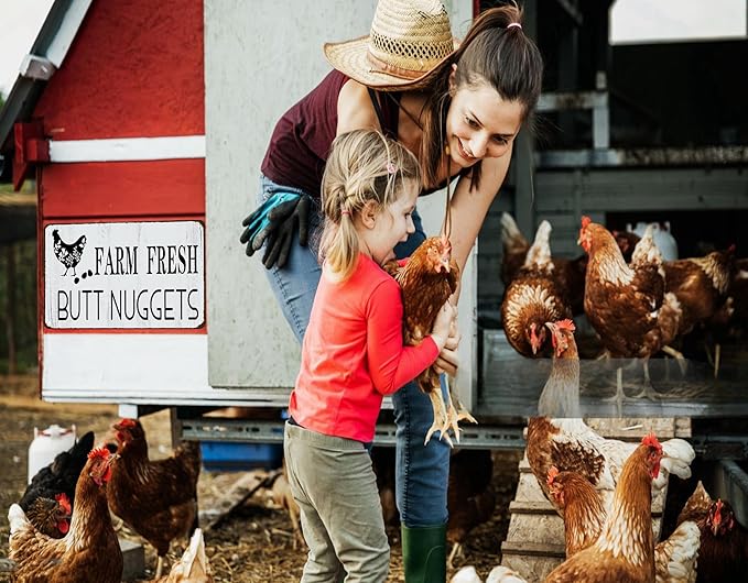 Funny Chicken Gifts Chicken Farm Fresh Butt Nuggets Tin Sign for Home Farm Chicken Coop Farmhouse Kicthen Garden Decor 8 X 12 Inch (3189)