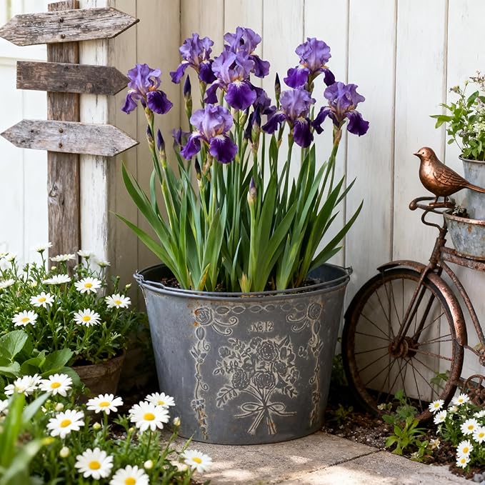 Vintage Embossed Metal Planter Pot with Handle, Rustic Farmhouse Flower Bucket, 11.81" Decorative Garden Pot for Indoor Outdoor Plants, Succulents, Herbs, Home Decor Accent