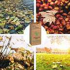 30 Gallon Heavy Duty Brown Paper Lawn and Leaf Bags with 22 GAL Dustpan-Type Bag and Leaf Scoops| 2-Ply Large Kraft Paper Bags (10 Count) | Tear Resistant Yard Waste Bag for Home and Garden