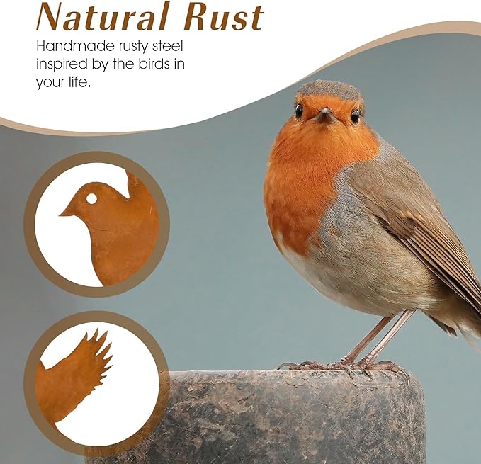 DIVINA VITAE 10Pcs Rusty Birds Decoration Lifelike Metal Birds Yard Art Simulation Bird Statue Yard Garden Decor for Outdoor Sculptures Art Fence Decorations(Style B)