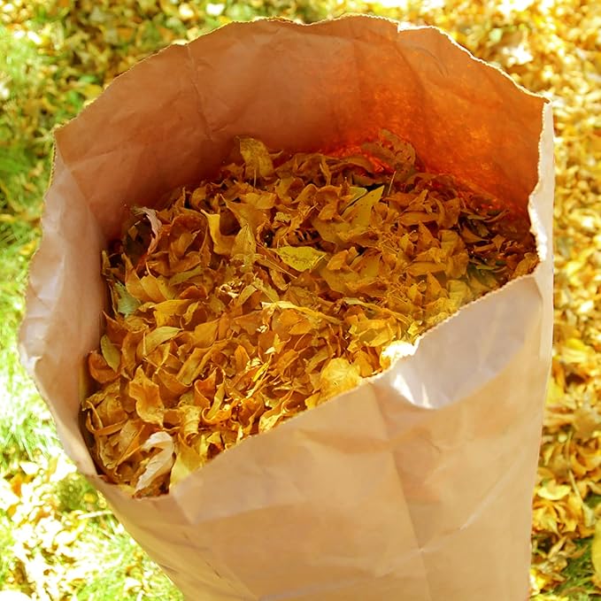 Lawn & Leaf Bags, heavy-duty 2-layer Brown paper, Home and Garden Yard Waste Compost Refuse Paper Bags (30 Gallon，5pack)