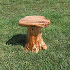 WELLAND Natural Cedar Stump Stool, 14" End Table, Live Edge Side Table, Plant Stand, Small Nightstand, Mushroom Stool for Living Room, Bedroom, Patio, Garden