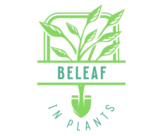 BeLeaf in Plants